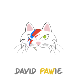 David Pawie